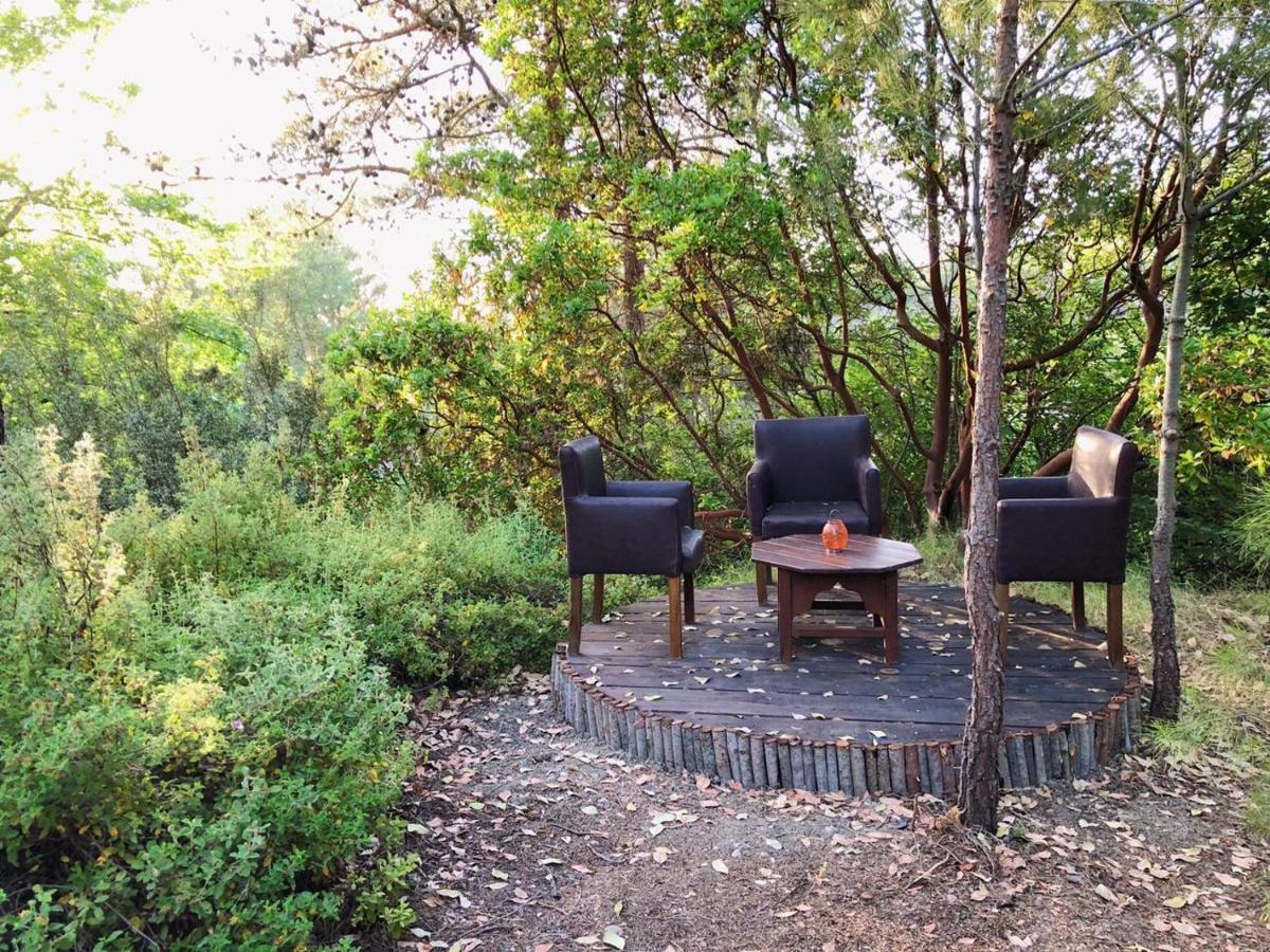 ホテル Vinsan Glamping & Wellness Centre Eleousa エクステリア 写真