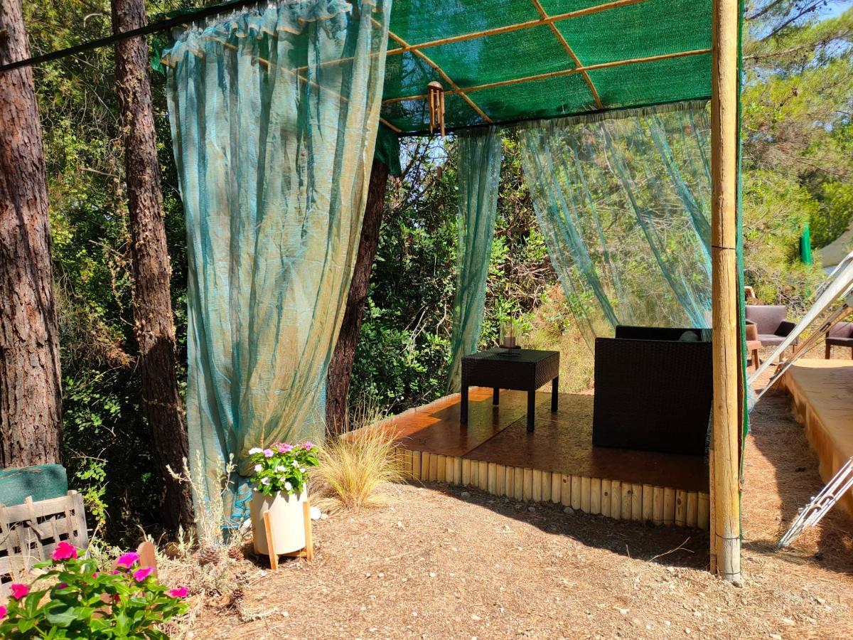 ホテル Vinsan Glamping & Wellness Centre Eleousa エクステリア 写真