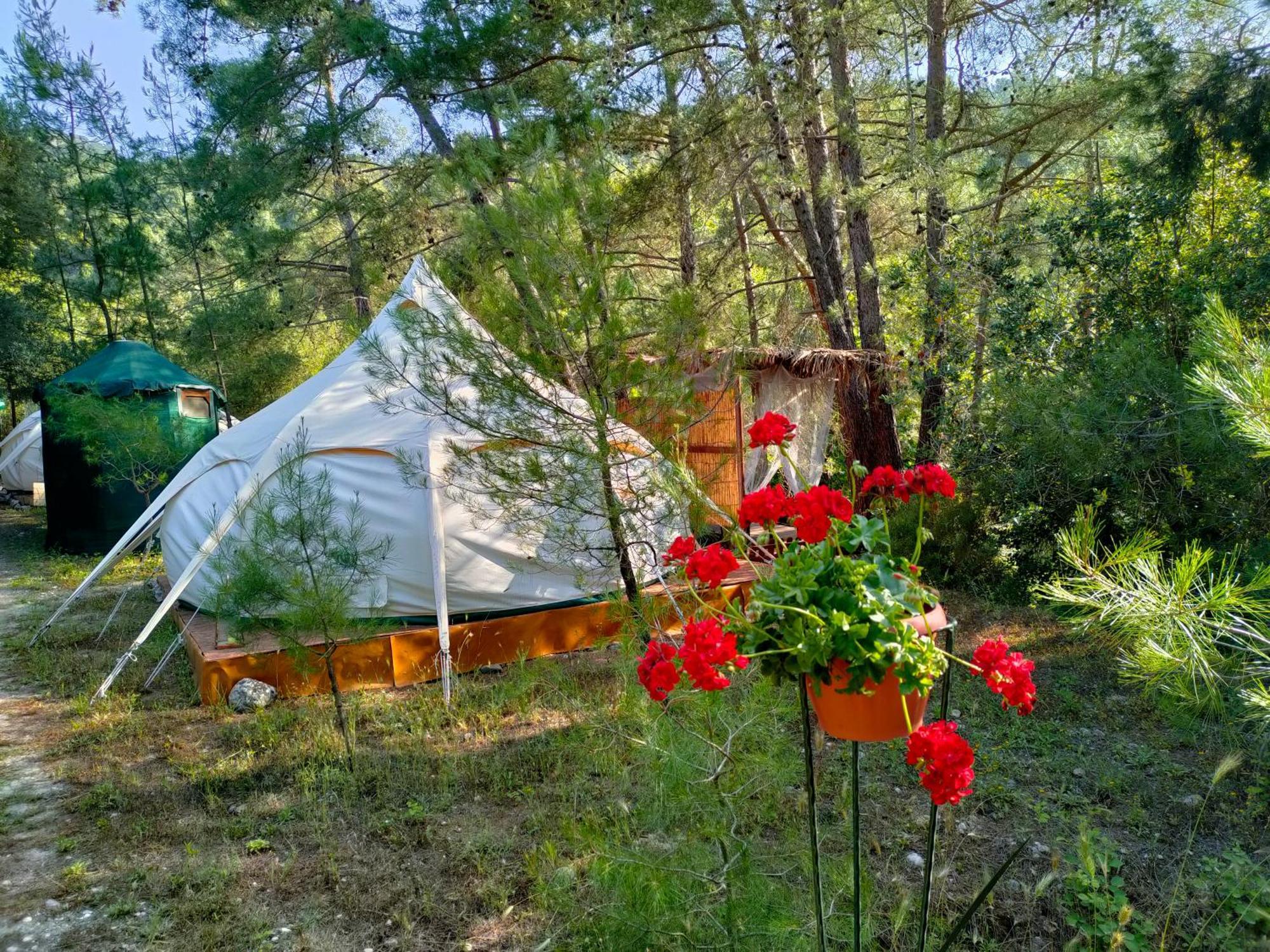 ホテル Vinsan Glamping & Wellness Centre Eleousa エクステリア 写真